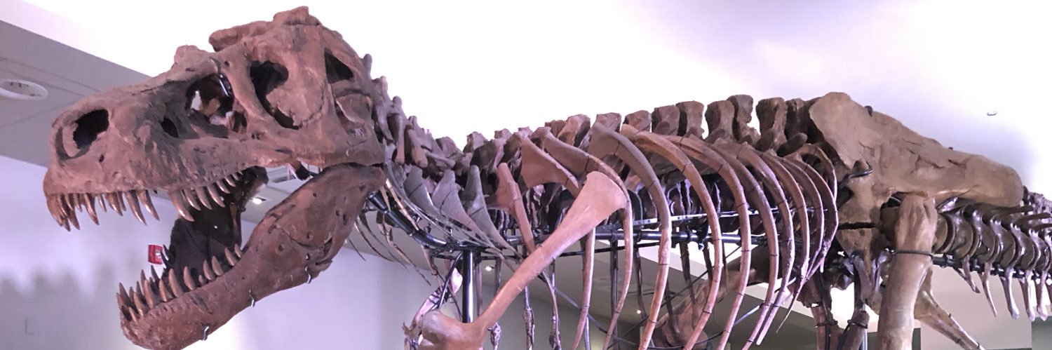 Nezih Hasanoglu Jr. banner