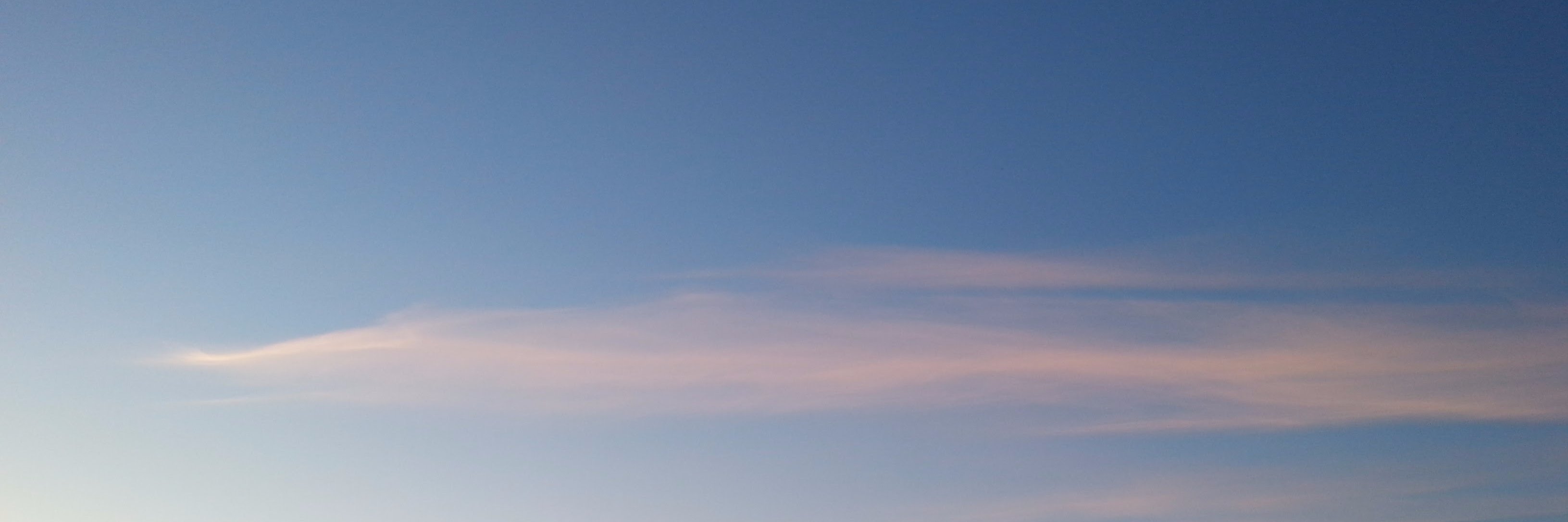 Andrei R 💙💛 banner