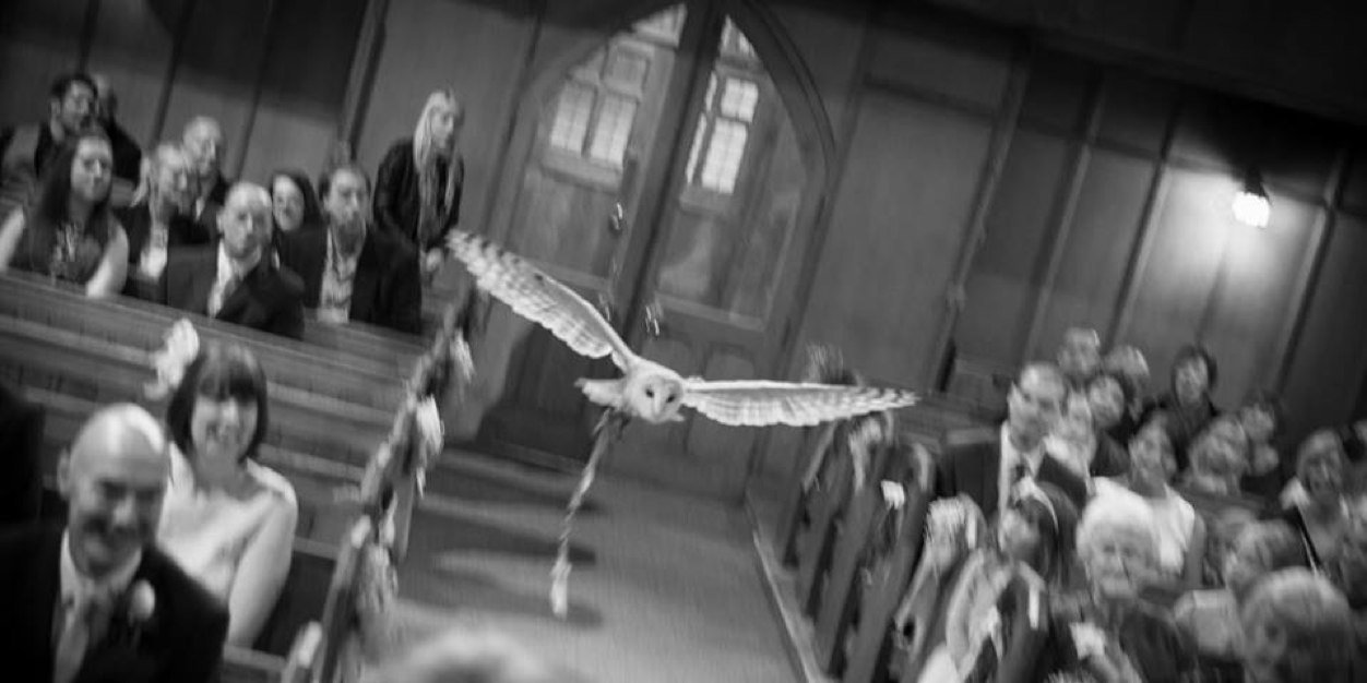 owlringbearer's profile banner image