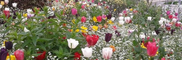 Groseille16 Profile Banner