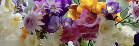 sam06732165's profile banner image