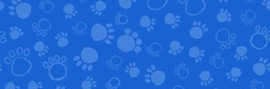 Ruuufis's profile banner image