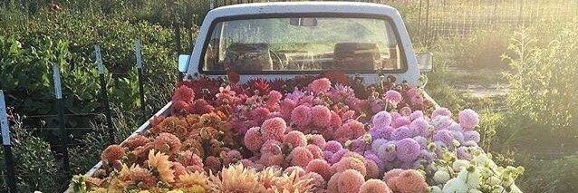 ༺حـسنـاء༻ banner