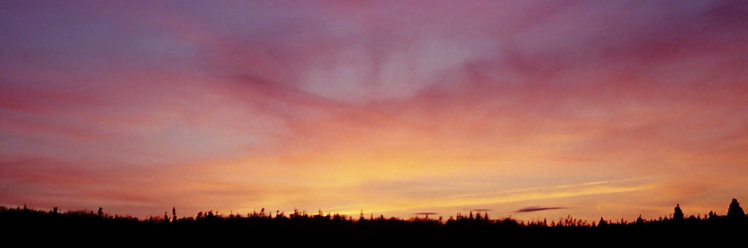 CamWos's profile banner image