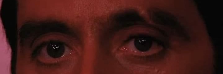 wardaahoussam's profile banner image