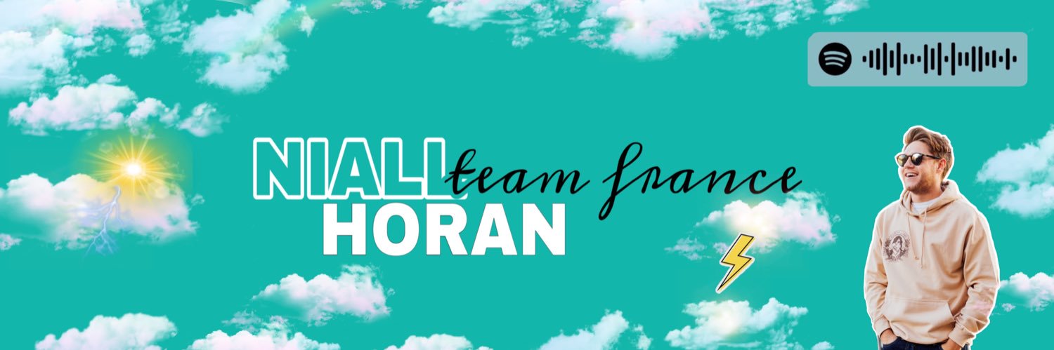 Niall Horan Team France banner