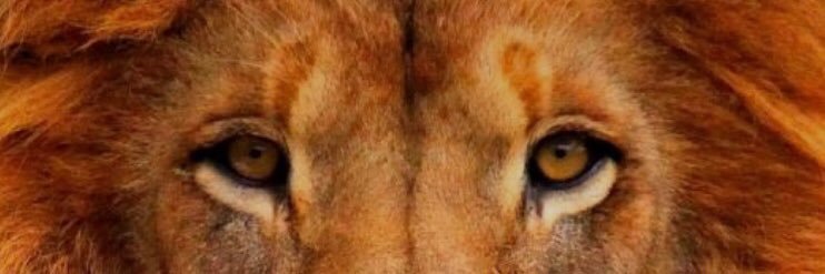 DSabi22's profile banner image