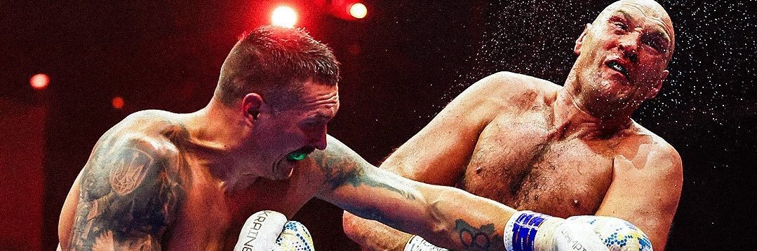 The Fite Zone 🥊 banner