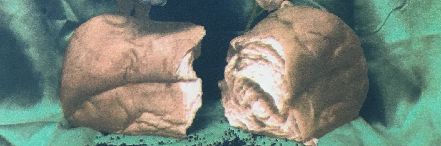 finkelston's profile banner image