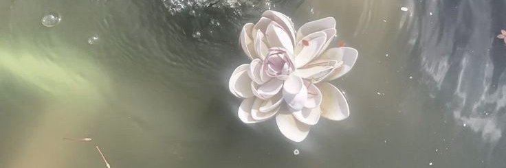 monosolare's profile banner image