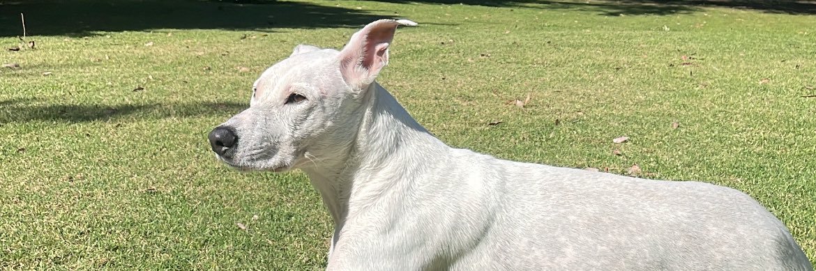 fortunytomas's profile banner image