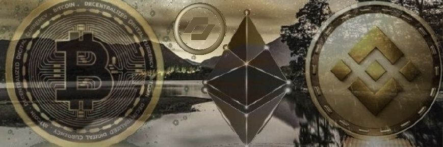 dIb_vision's profile banner image