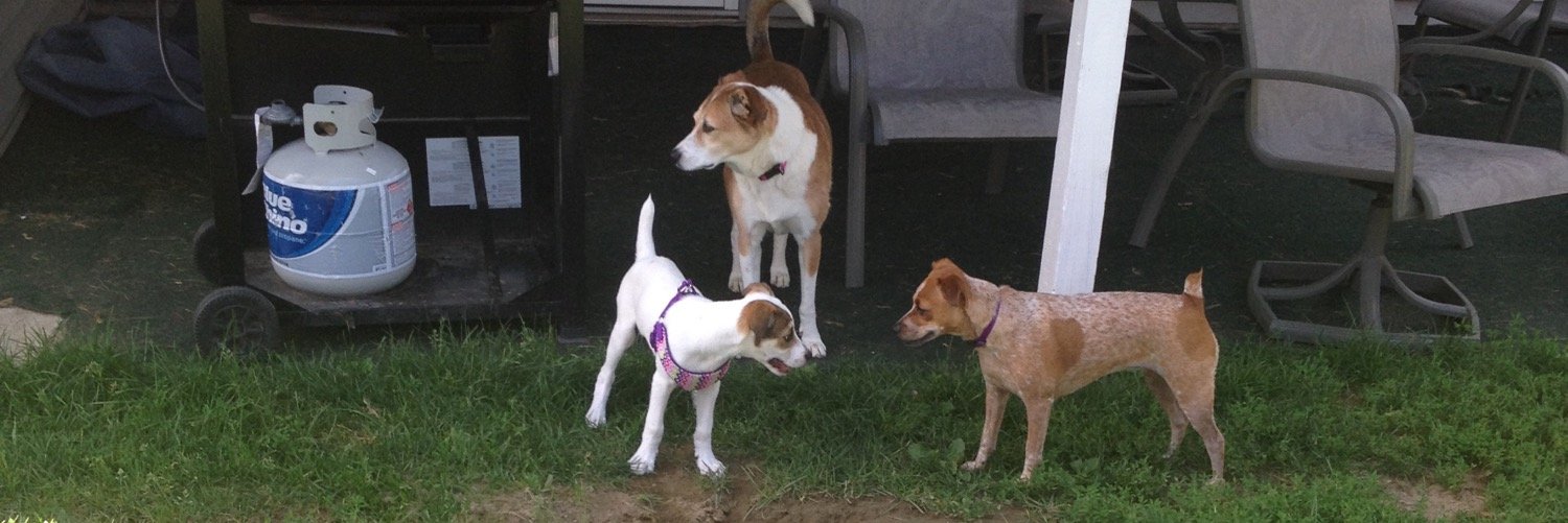 mhitch2's profile banner image