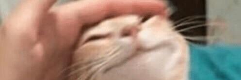 leahmarkowitzz's profile banner image