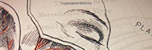 OtherBarryBTC Profile Banner