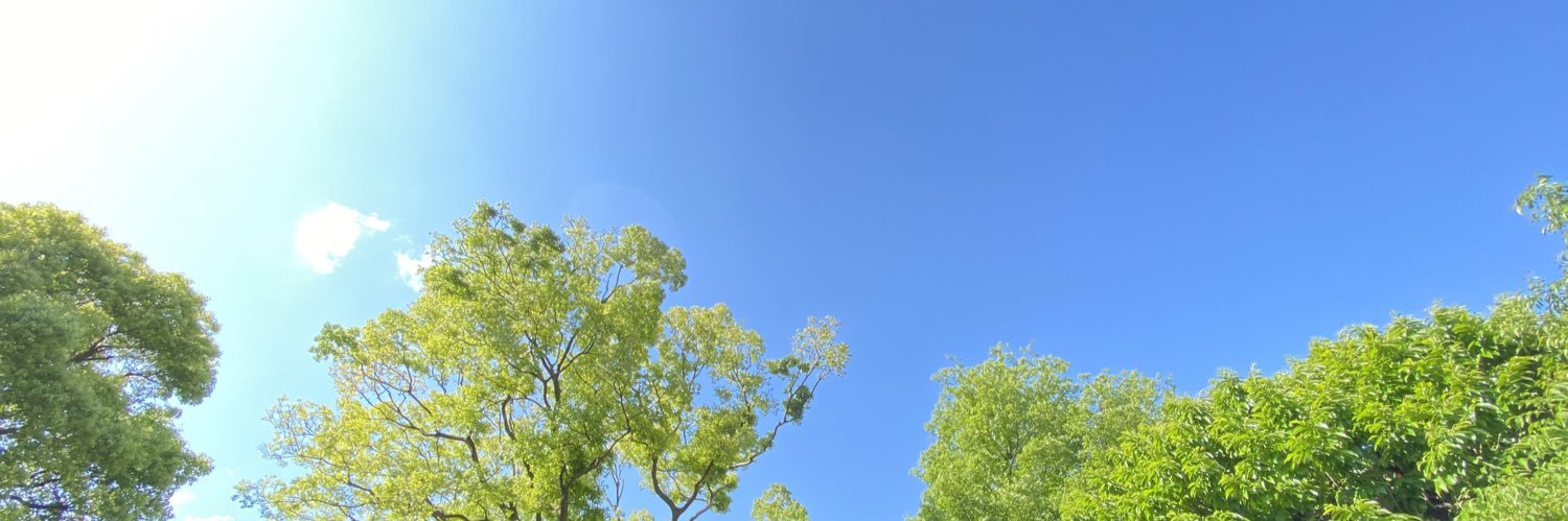 chibatomop's profile banner image