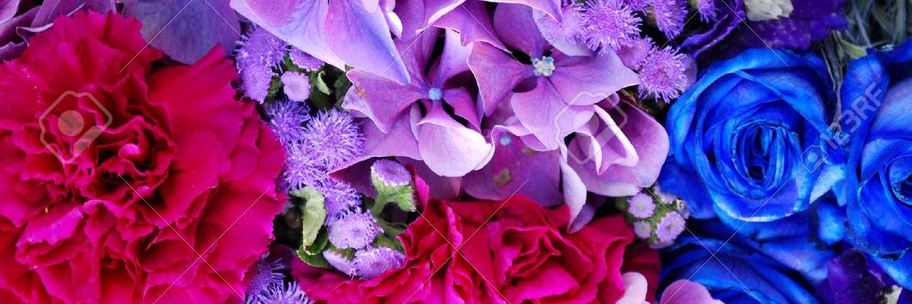 Katherine Bickel banner