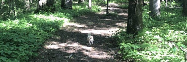 jerrieskid Profile Banner