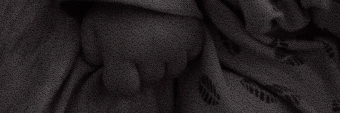 rrilci's profile banner image