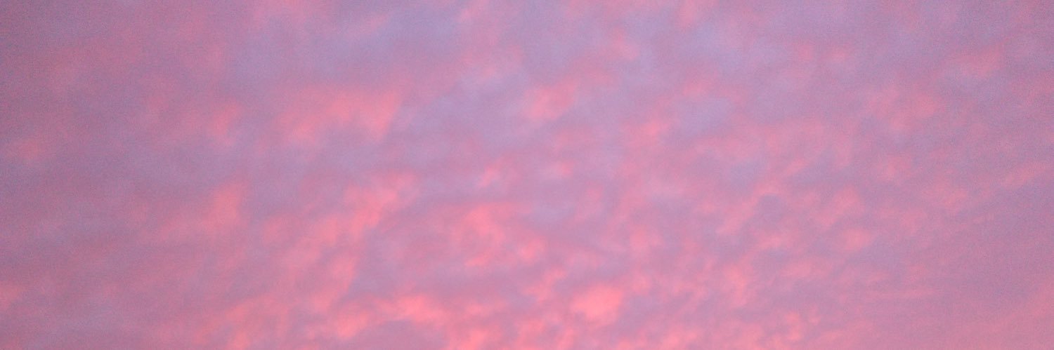 nt_sumr's profile banner image