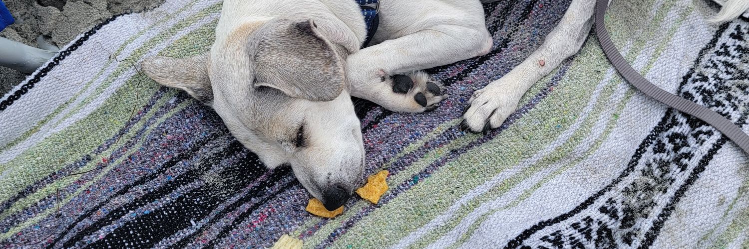 Mrs. Friendly banner