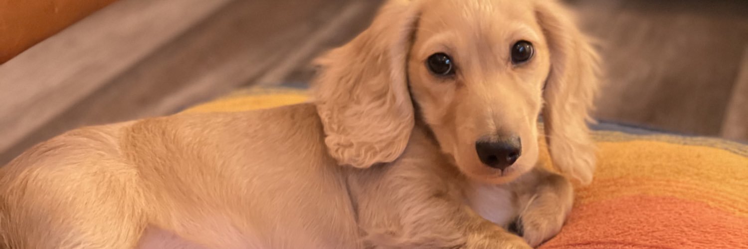 goodboybuckley's profile banner image