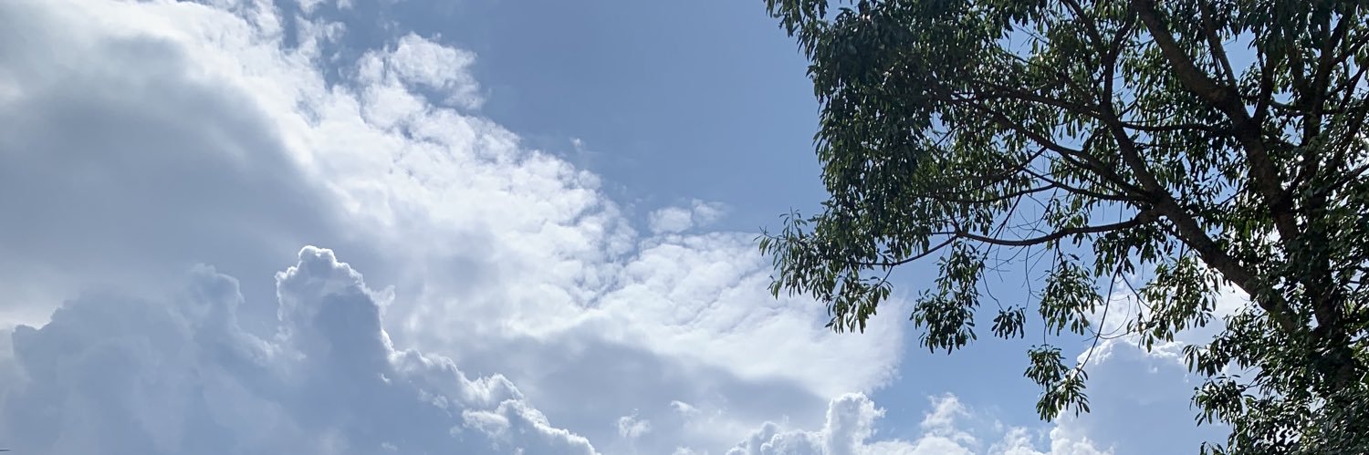pirexxc's profile banner image