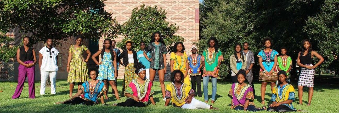 RiceAfricanSA banner