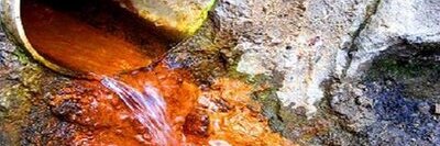 ccfumes banner