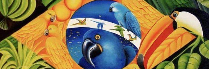alapaloma's profile banner image