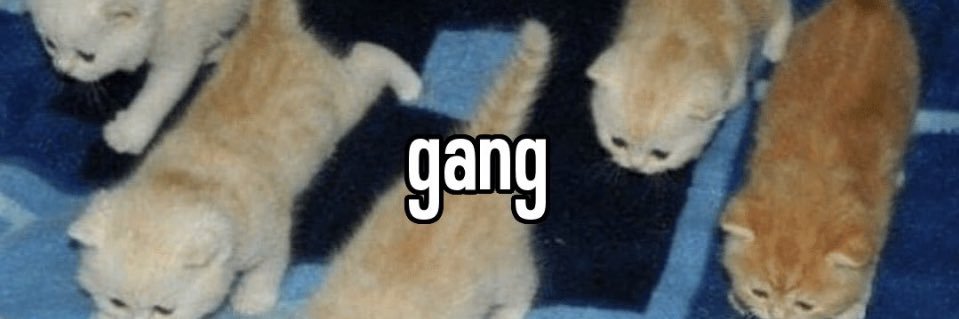 catenaryy's profile banner image