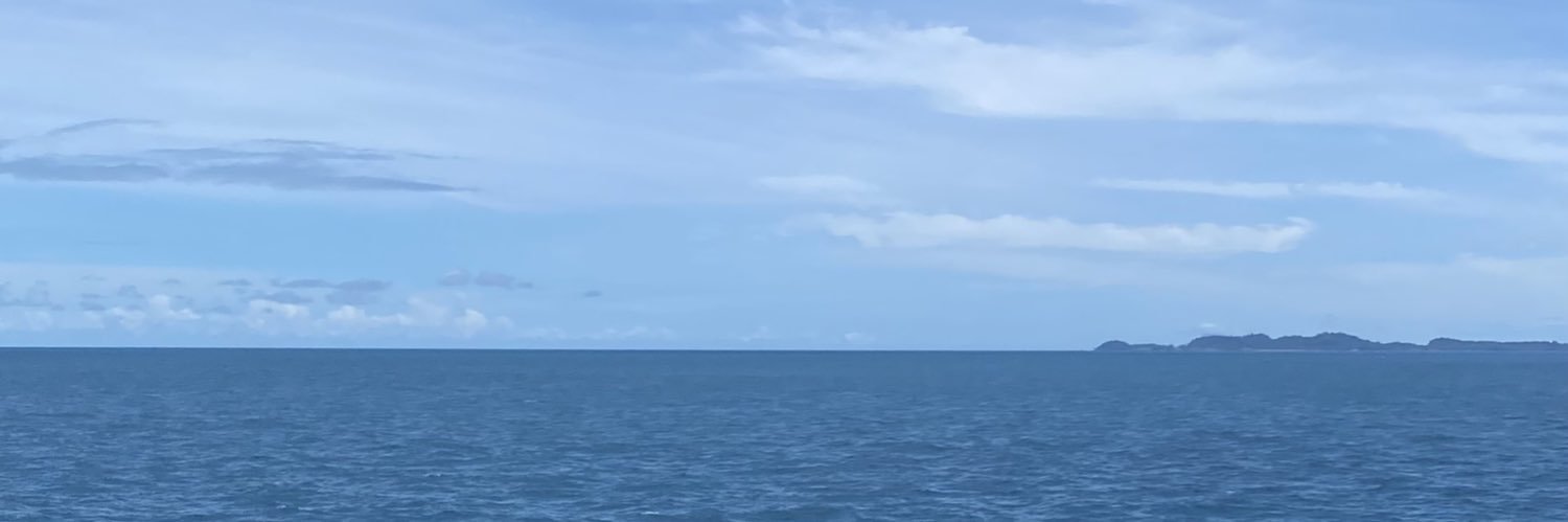 𐚁 banner