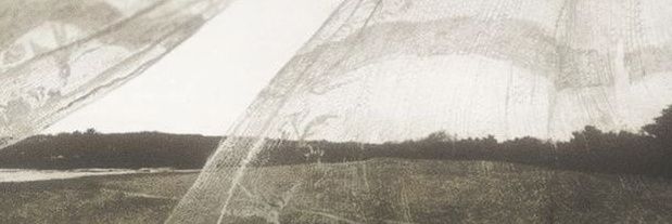 enabledog's profile banner image