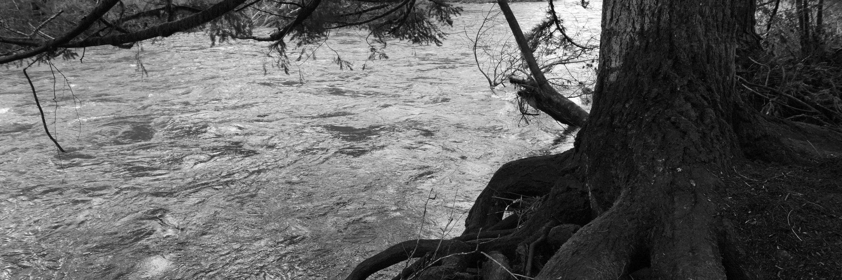 kmacbain89's profile banner image