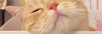 aa144248216's profile banner image