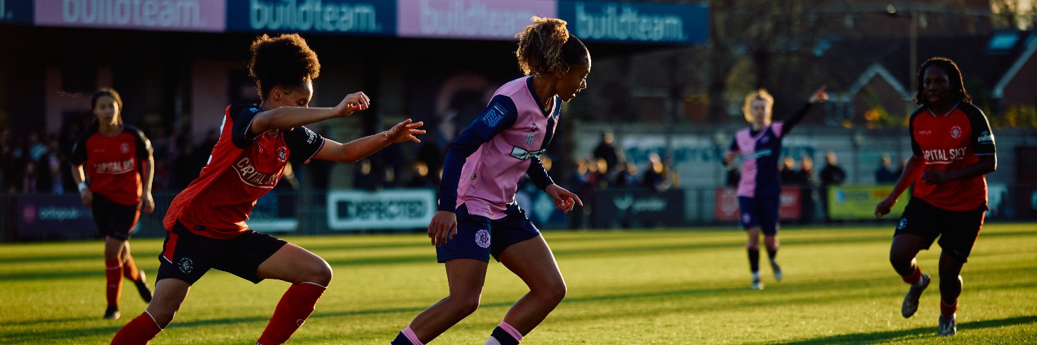 Dulwich Hamlet FC Women banner