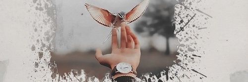 Talal_amoudi's profile banner image