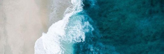 Irina Kalinina banner
