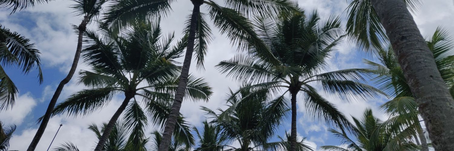 Manuelvm90's profile banner image