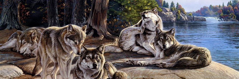 mortuel's profile banner image