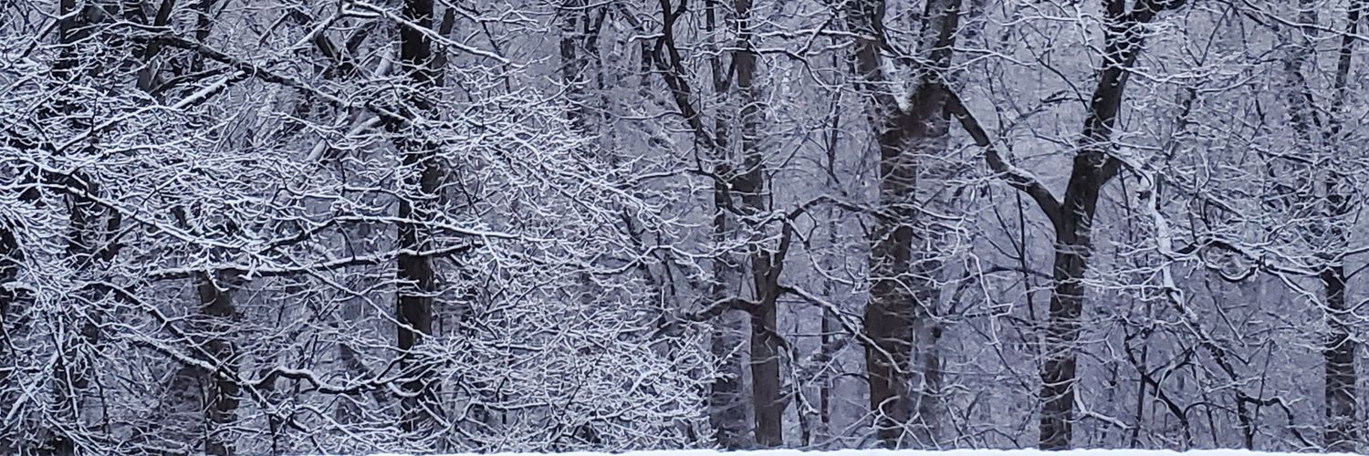 WanderingHall's profile banner image