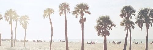 irenebae_0's profile banner image