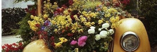 barbiesnts's profile banner image