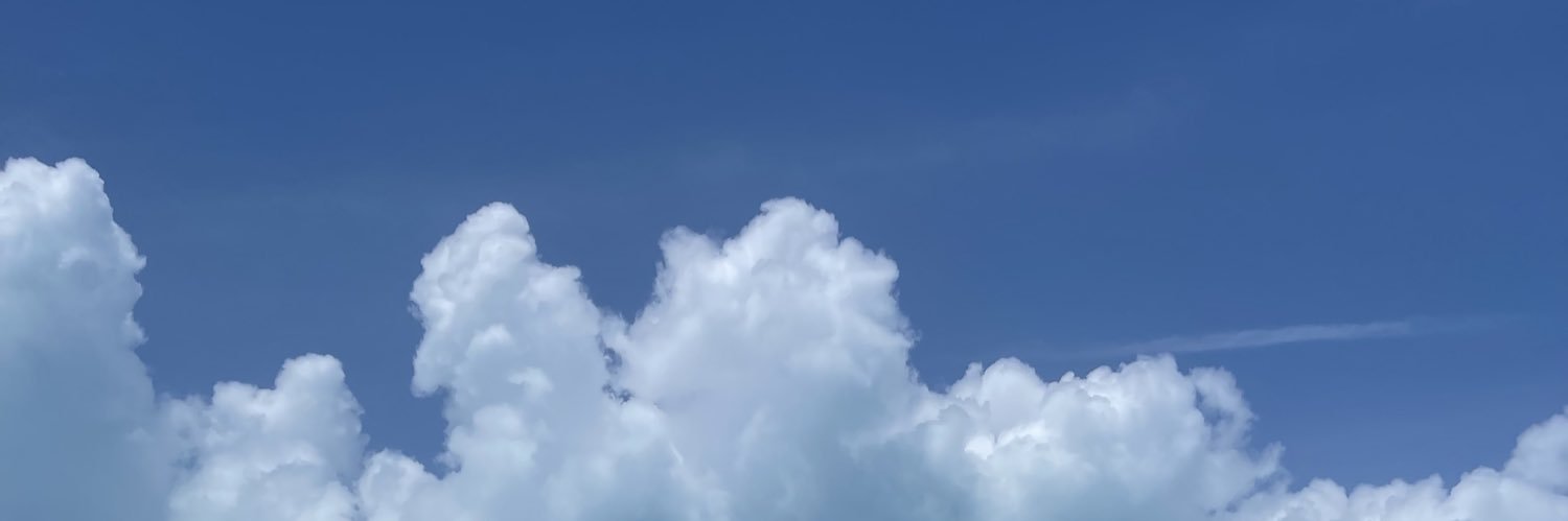 Collin Lee banner