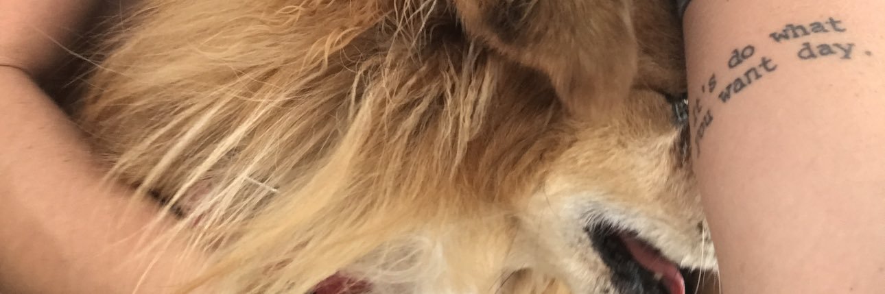 HaveFunBeGood banner