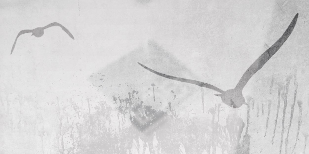 SGirlDiaries's profile banner image