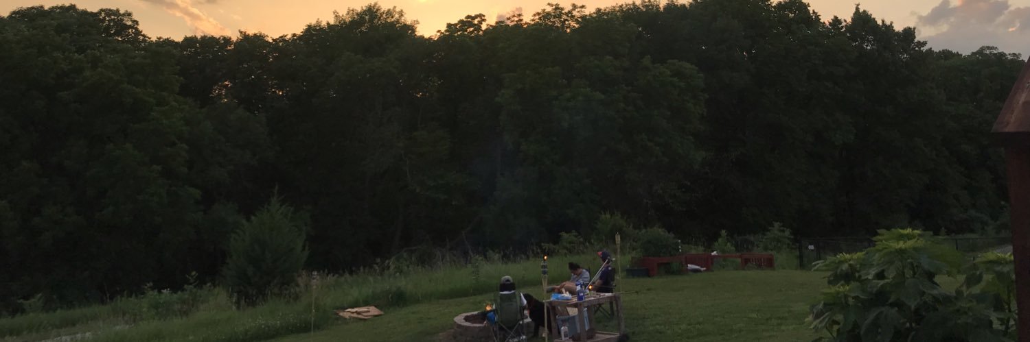 LanesaStatzer's profile banner image