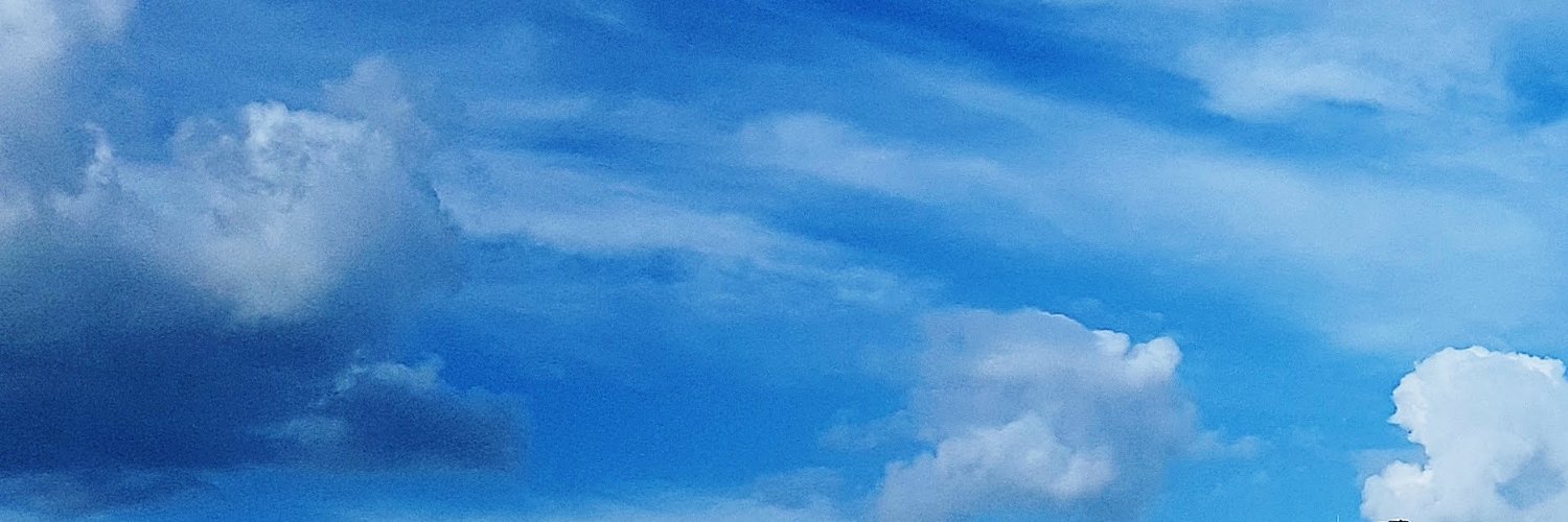 mindmincer's profile banner image