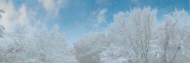 pedrolimawagner's profile banner image