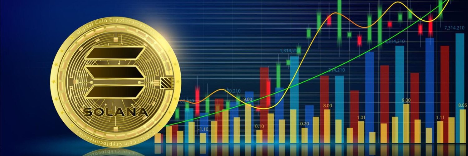 SOL INVESTMENTS banner